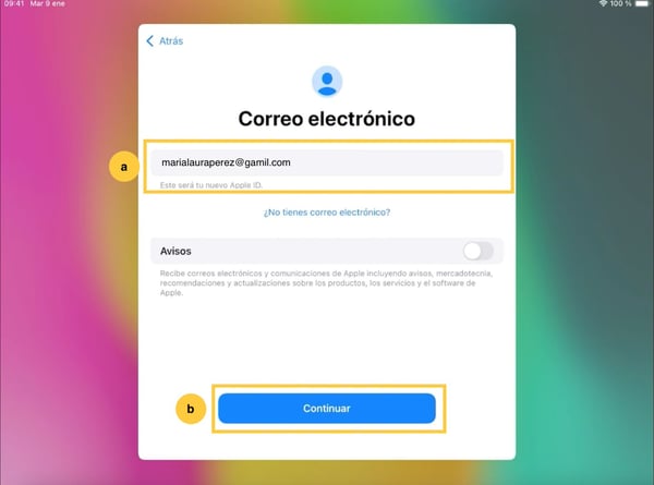 20-Ingresá correo elecrotnico